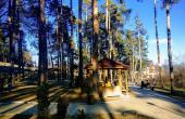 Спа курорт Велинград, Боров парк